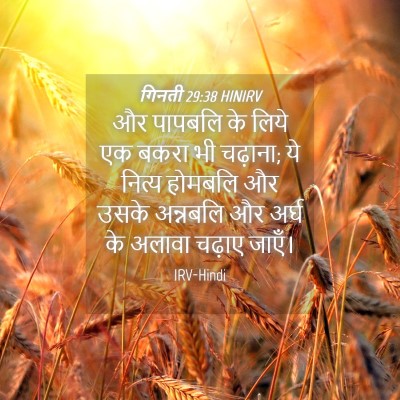 Picture 04 - गिनती 29:38 HINIRV - और पापबलि के लिये - Bible Verse Picture