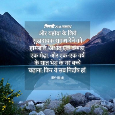 Picture 04 - गिनती 29:8 HINIRV - और यहोवा के लिये - Bible Verse Picture