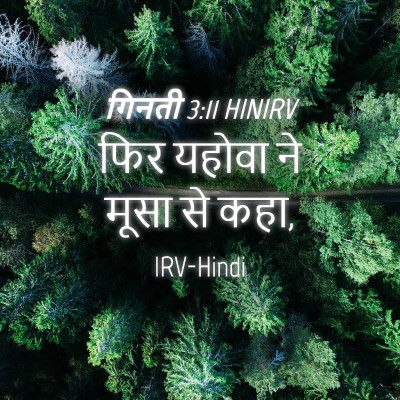 Picture 04 - गिनती 3:11 HINIRV - फिर यहोवा ने मूसा - Bible Verse Picture