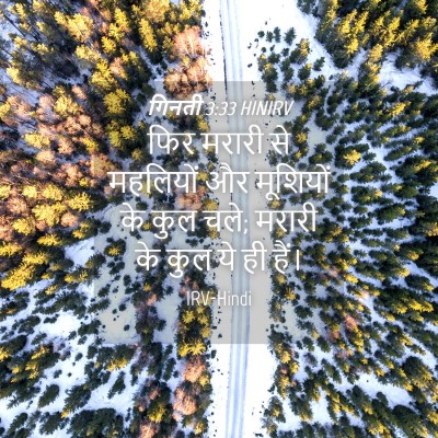 Picture 04 - गिनती 3:33 HINIRV - फिर मरारी से - Bible Verse Picture