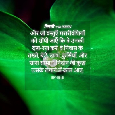 Picture 04 - गिनती 3:36 HINIRV - और जो वस्तुएँ - Bible Verse Picture