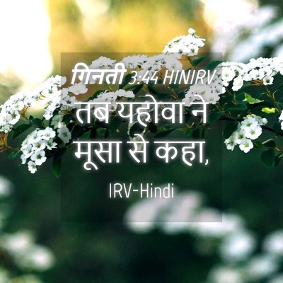 Picture 04 - गिनती 3:44 HINIRV - तब यहोवा ने मूसा से - Bible Verse Picture