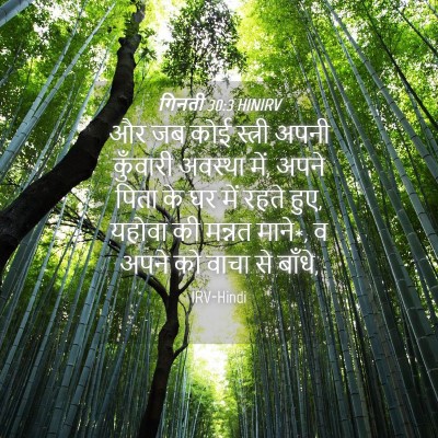 Picture 04 - गिनती 30:3 HINIRV - और जब कोई स्त्री - Bible Verse Picture