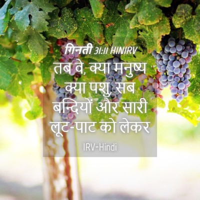 Picture 04 - गिनती 31:11 HINIRV - तब वे, क्या मनुष्य - Bible Verse Picture