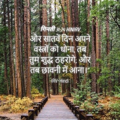 Picture 04 - गिनती 31:24 HINIRV - और सातवें दिन अपने - Bible Verse Picture