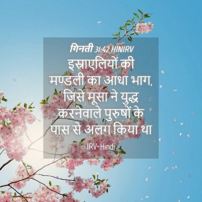 Picture 04 - गिनती 31:42 HINIRV - इस्राएलियों की - Bible Verse Picture
