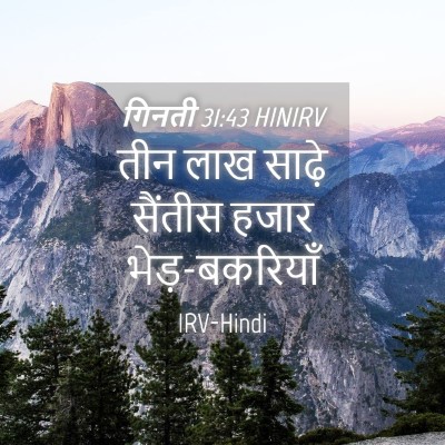 Picture 04 - गिनती 31:43 HINIRV - तीन लाख साढ़े - Bible Verse Picture
