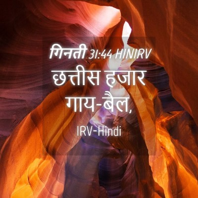 Picture 04 - गिनती 31:44 HINIRV - छत्तीस हजार - Bible Verse Picture