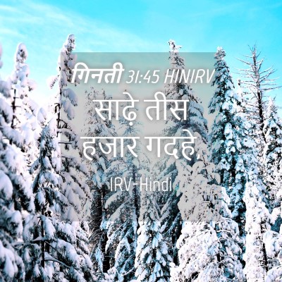 Picture 04 - गिनती 31:45 HINIRV - साढ़े तीस हजार - Bible Verse Picture