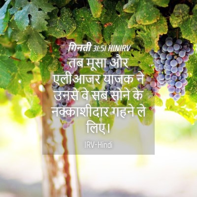 Picture 04 - गिनती 31:51 HINIRV - तब मूसा और एलीआजर - Bible Verse Picture