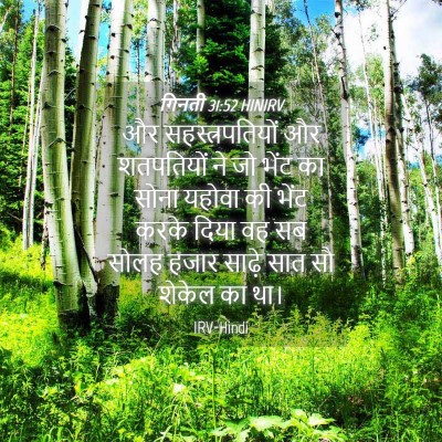 Picture 04 - गिनती 31:52 HINIRV - और सहस्‍त्रपतियों - Bible Verse Picture