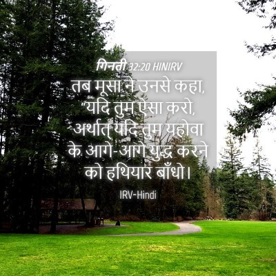 Picture 04 - गिनती 32:20 HINIRV - तब मूसा ने उनसे - Bible Verse Picture