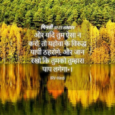 Picture 04 - गिनती 32:23 HINIRV - और यदि तुम ऐसा न - Bible Verse Picture