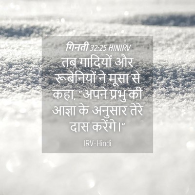 Picture 04 - गिनती 32:25 HINIRV - तब गादियों और - Bible Verse Picture