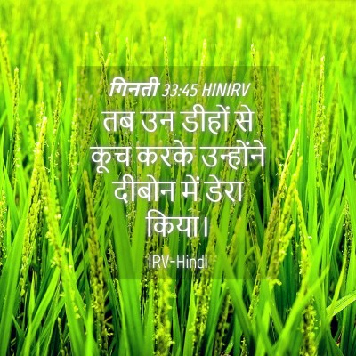 Picture 04 - गिनती 33:45 HINIRV - तब उन डीहों से कूच - Bible Verse Picture