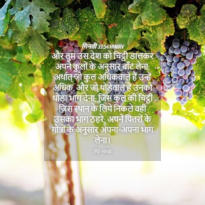 Picture 04 - गिनती 33:54 HINIRV - और तुम उस देश को - Bible Verse Picture