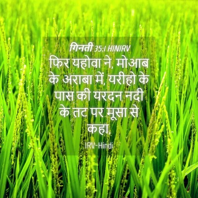 Picture 04 - गिनती 35:1 HINIRV - फिर यहोवा ने, मोआब - Bible Verse Picture