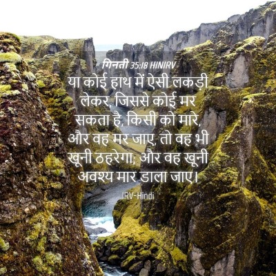 Picture 04 - गिनती 35:18 HINIRV - या कोई हाथ में ऐसी - Bible Verse Picture