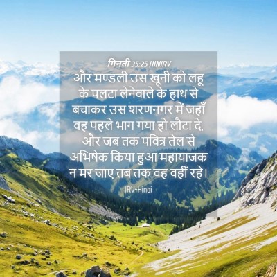 Picture 04 - गिनती 35:25 HINIRV - और मण्डली उस खूनी - Bible Verse Picture