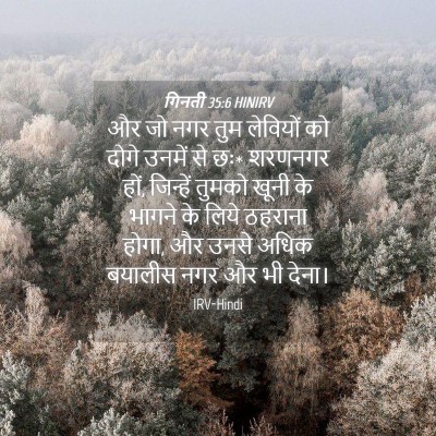 Picture 04 - गिनती 35:6 HINIRV - और जो नगर तुम - Bible Verse Picture