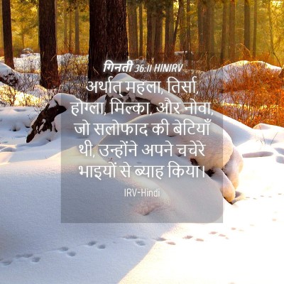 Picture 04 - गिनती 36:11 HINIRV - अर्थात् महला, - Bible Verse Picture