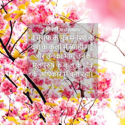 Picture 04 - गिनती 36:12 HINIRV - वे यूसुफ के पुत्र - Bible Verse Picture