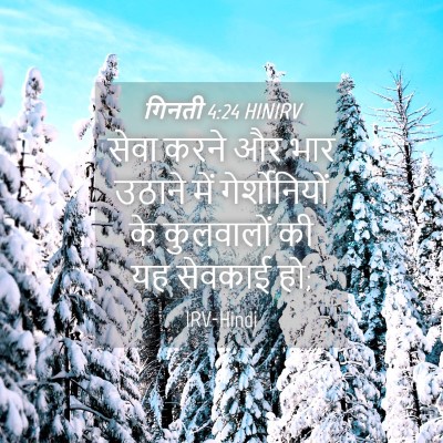 Picture 04 - गिनती 4:24 HINIRV - सेवा करने और भार - Bible Verse Picture