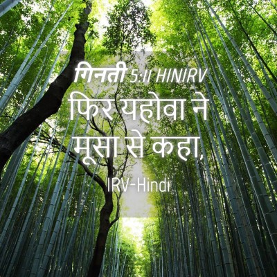 Picture 04 - गिनती 5:11 HINIRV - फिर यहोवा ने मूसा - Bible Verse Picture