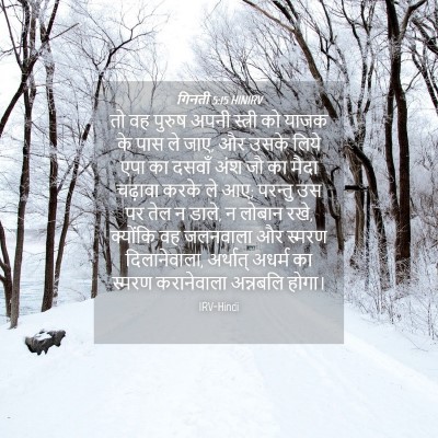 Picture 04 - गिनती 5:15 HINIRV - तो वह पुरुष अपनी - Bible Verse Picture