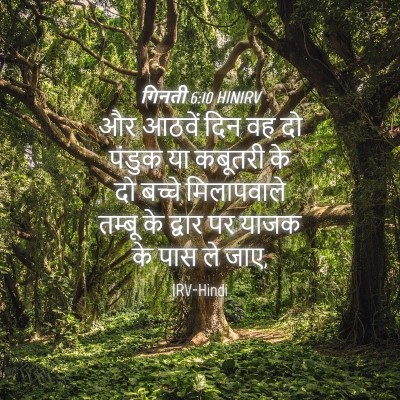 Picture 04 - गिनती 6:10 HINIRV - और आठवें दिन वह दो - Bible Verse Picture