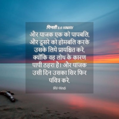 Picture 04 - गिनती 6:11 HINIRV - और याजक एक को - Bible Verse Picture