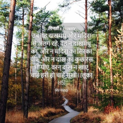Picture 04 - गिनती 6:3 HINIRV - तब वह दाखमधु और - Bible Verse Picture