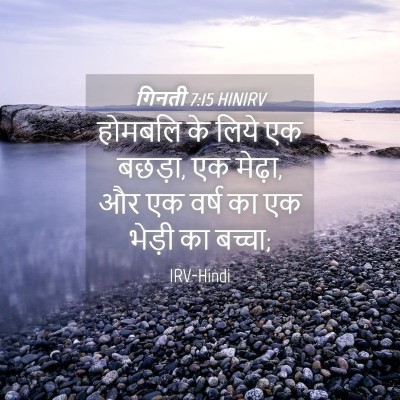 Picture 04 - गिनती 7:15 HINIRV - होमबलि के लिये एक - Bible Verse Picture
