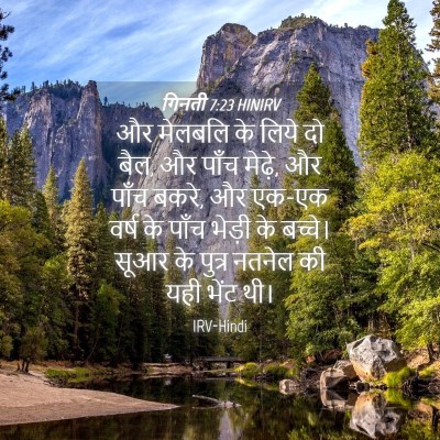 Picture 04 - गिनती 7:23 HINIRV - और मेलबलि के लिये - Bible Verse Picture