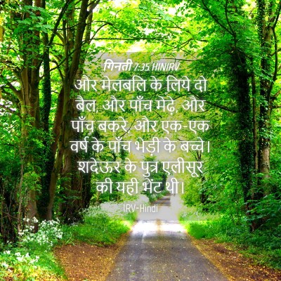 Picture 04 - गिनती 7:35 HINIRV - और मेलबलि के लिये - Bible Verse Picture