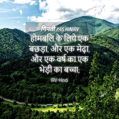 Picture 04 - गिनती 7:45 HINIRV - होमबलि के लिये एक - Bible Verse Picture