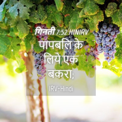 Picture 04 - गिनती 7:52 HINIRV - पापबलि के लिये एक - Bible Verse Picture