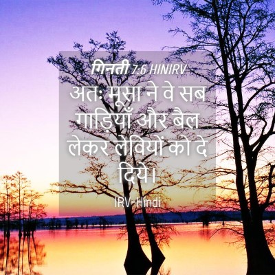 Picture 04 - गिनती 7:6 HINIRV - अतः मूसा ने वे सब - Bible Verse Picture