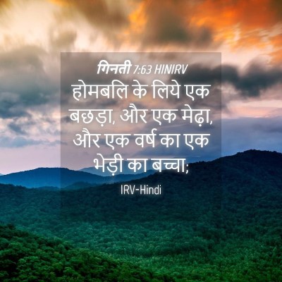 Picture 04 - गिनती 7:63 HINIRV - होमबलि के लिये एक - Bible Verse Picture