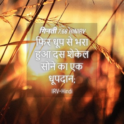 Picture 04 - गिनती 7:68 HINIRV - फिर धूप से भरा हुआ - Bible Verse Picture
