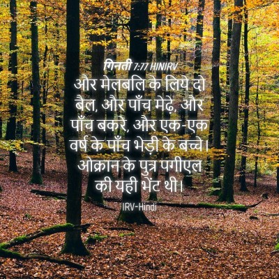 Picture 04 - गिनती 7:77 HINIRV - और मेलबलि के लिये - Bible Verse Picture