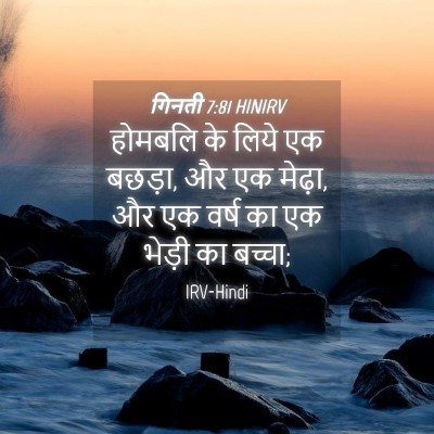 Picture 04 - गिनती 7:81 HINIRV - होमबलि के लिये एक - Bible Verse Picture