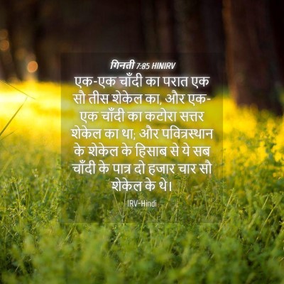 Picture 04 - गिनती 7:85 HINIRV - एक-एक चाँदी का परात - Bible Verse Picture