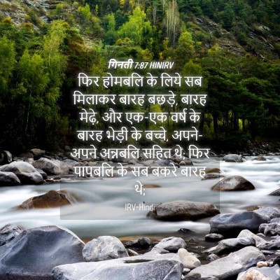 Picture 04 - गिनती 7:87 HINIRV - फिर होमबलि के लिये - Bible Verse Picture