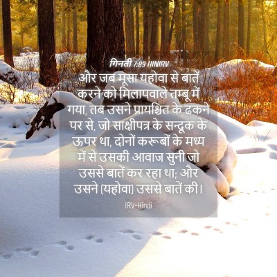 Picture 04 - गिनती 7:89 HINIRV - और जब मूसा यहोवा से - Bible Verse Picture