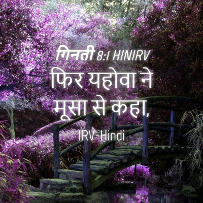 Picture 04 - गिनती 8:1 HINIRV - फिर यहोवा ने मूसा - Bible Verse Picture