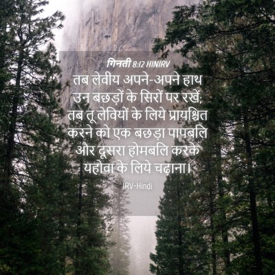 Picture 04 - गिनती 8:12 HINIRV - तब लेवीय अपने-अपने - Bible Verse Picture