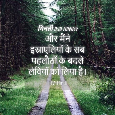 Picture 04 - गिनती 8:18 HINIRV - और मैंने - Bible Verse Picture