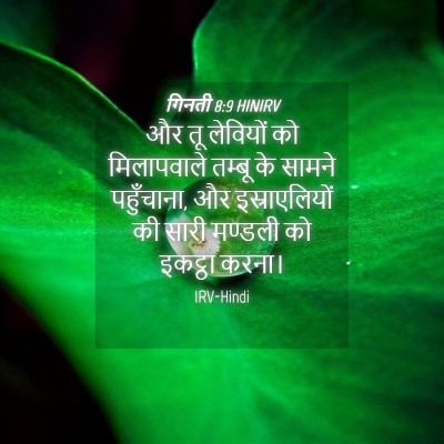 Picture 04 - गिनती 8:9 HINIRV - और तू लेवियों को - Bible Verse Picture