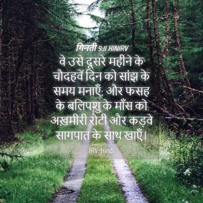 Picture 04 - गिनती 9:11 HINIRV - वे उसे दूसरे महीने - Bible Verse Picture